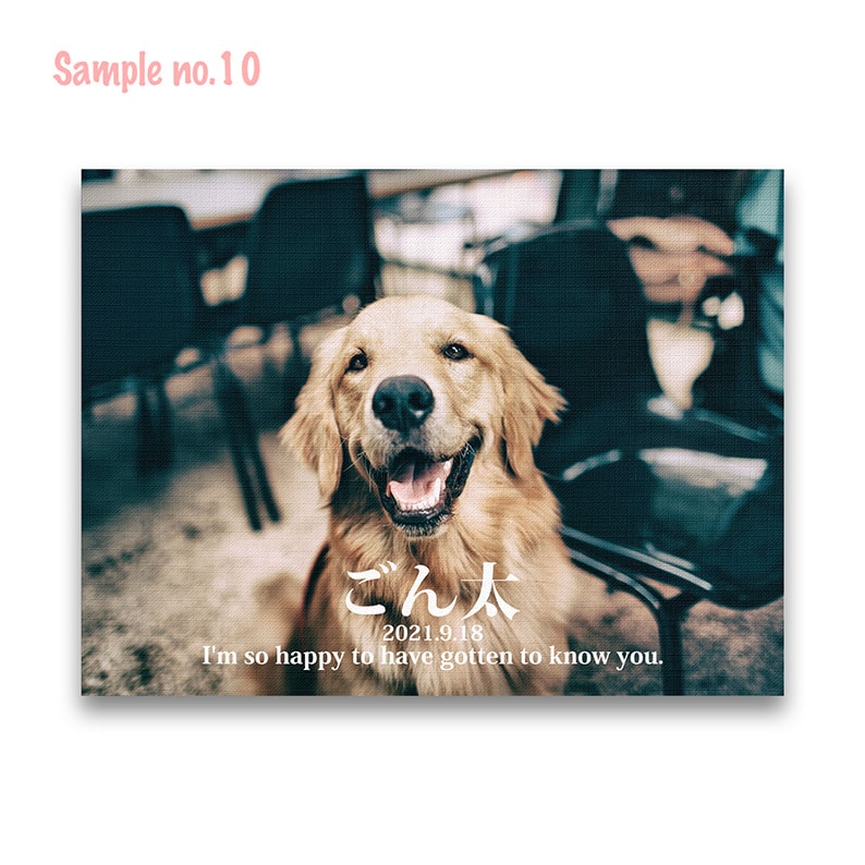 犬のメモリアル写真ファブリックパネル